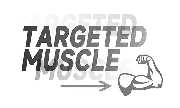 By Muscle Groups